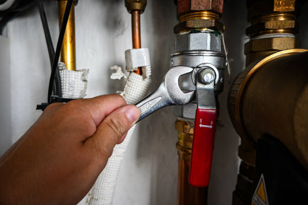 Best Emergency Plumbing Repair  in Shullsburg, WI